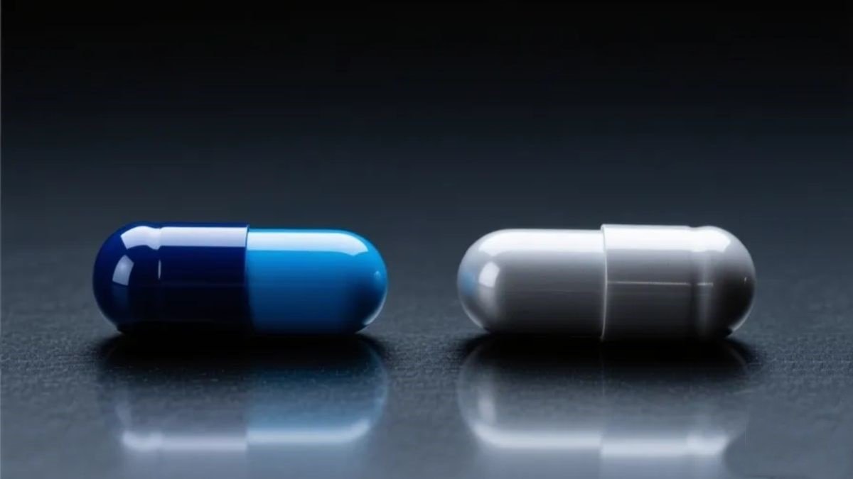 Testofen vs Tribulus Terrestris — comparativo de evidência científica para testosterona